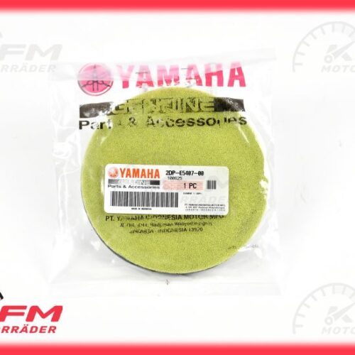 Yamaha Orijinal Varyatör Filtresi 2DP-E5407-00
