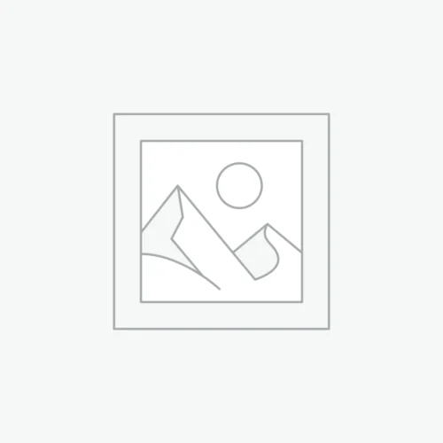Bando S19-001 VSE Varyatör Kayışı